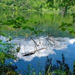 Il Lago Nero tra gli alberi